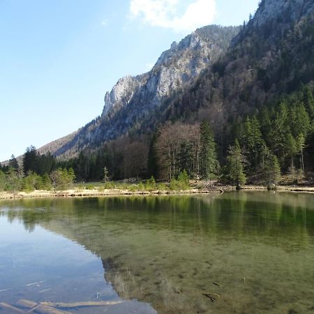 Ferienwohnung Frieda Инцелль Экстерьер фото