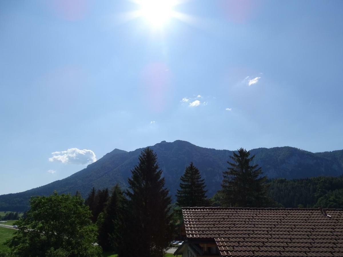 Ferienwohnung Frieda Инцелль Экстерьер фото